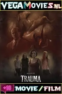 18 trauma 2017