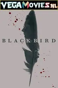 black bird 2022
