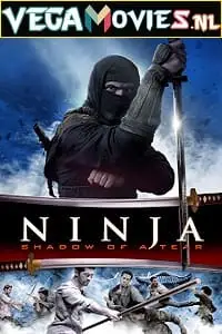 ninja shadow of a tear 2013