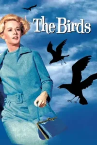 the birds 1963