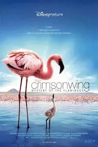 the crimson wing mystery of the flamingos 2008