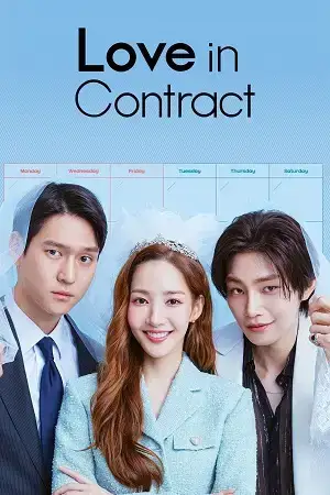 Download Love in Contract (Season 1) Dual Audio {Hindi Korean} K Drama Series 480p 720p & 1080p WEB DL